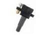 Ignition Coil:22433-AA602